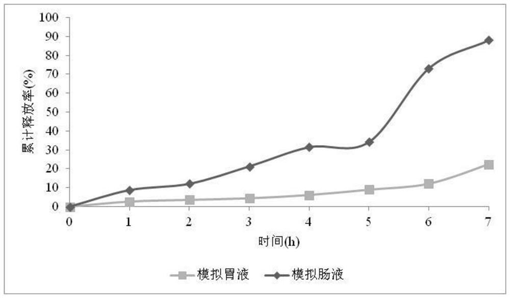Grapefruit peel flavone gel ball as well as preparation method and application thereof