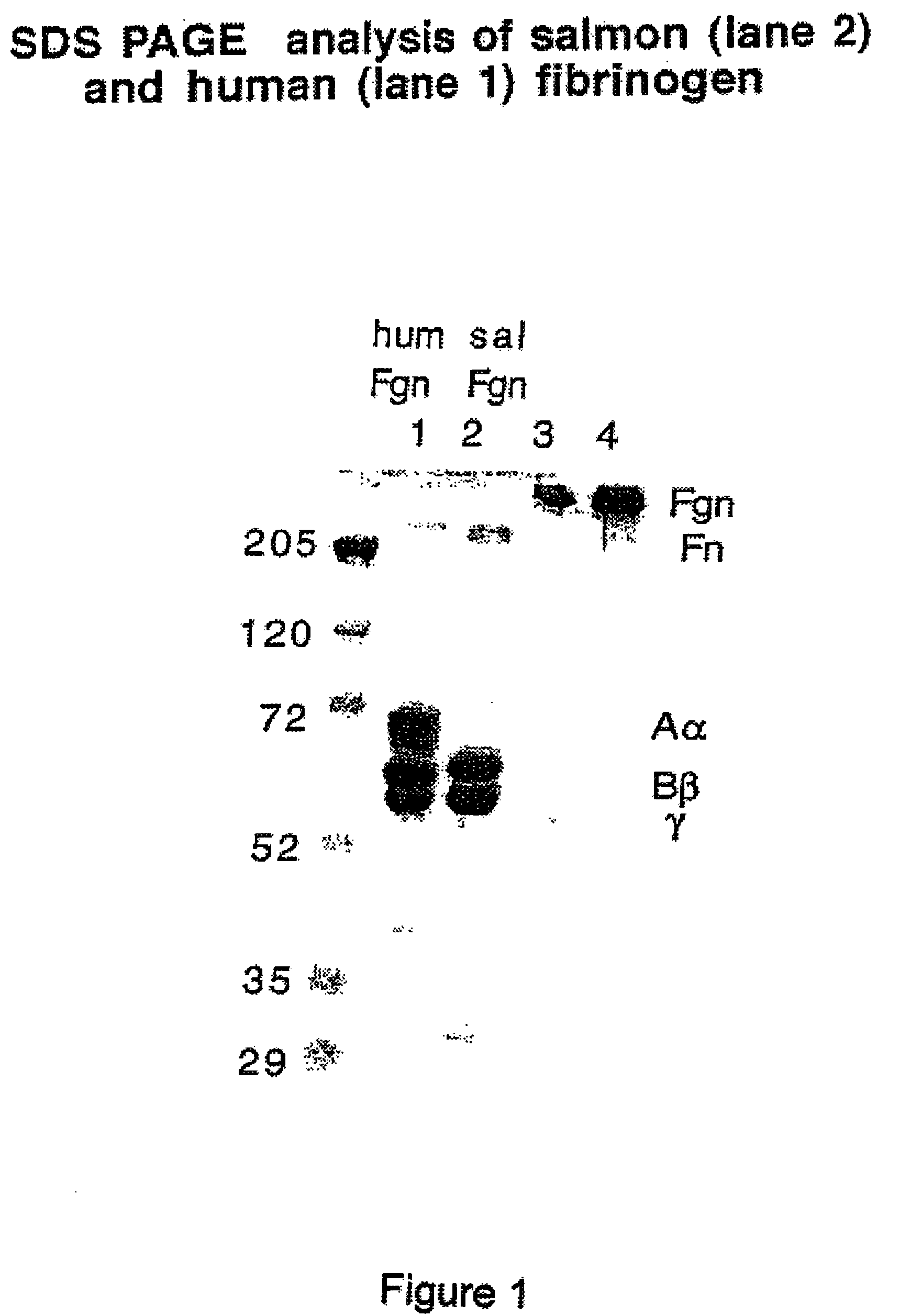 Method of using fish plasma components for tissue culture