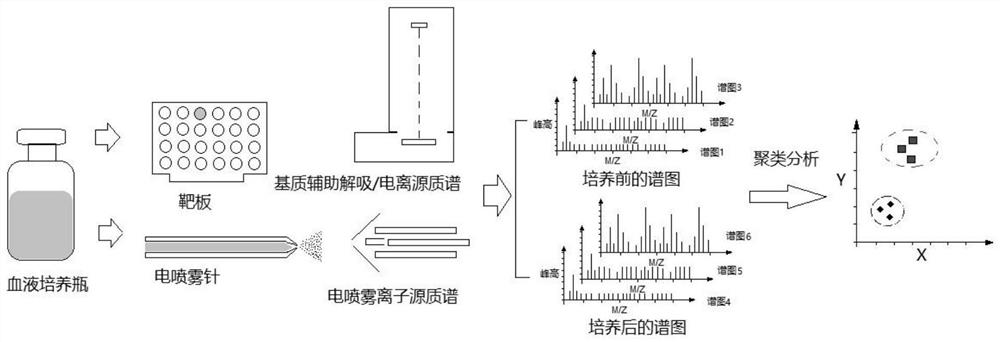 Detection method for blood culture positive reporting