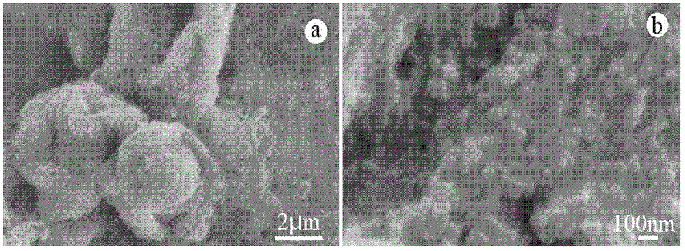 Super hydrophobic self-cleaning coating and preparation method thereof