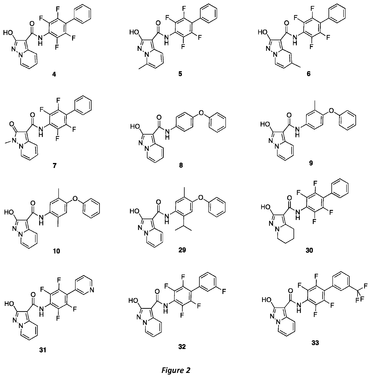 NOVEL HUMAN DIHYDROOROTATE DEHYDROGENASE (hDHODH) INHIBITORS AND THEIR USE IN TARGETING ONCOLOGICAL DISEASES SENSITIVE TO PYRIMIDINE STARVATION