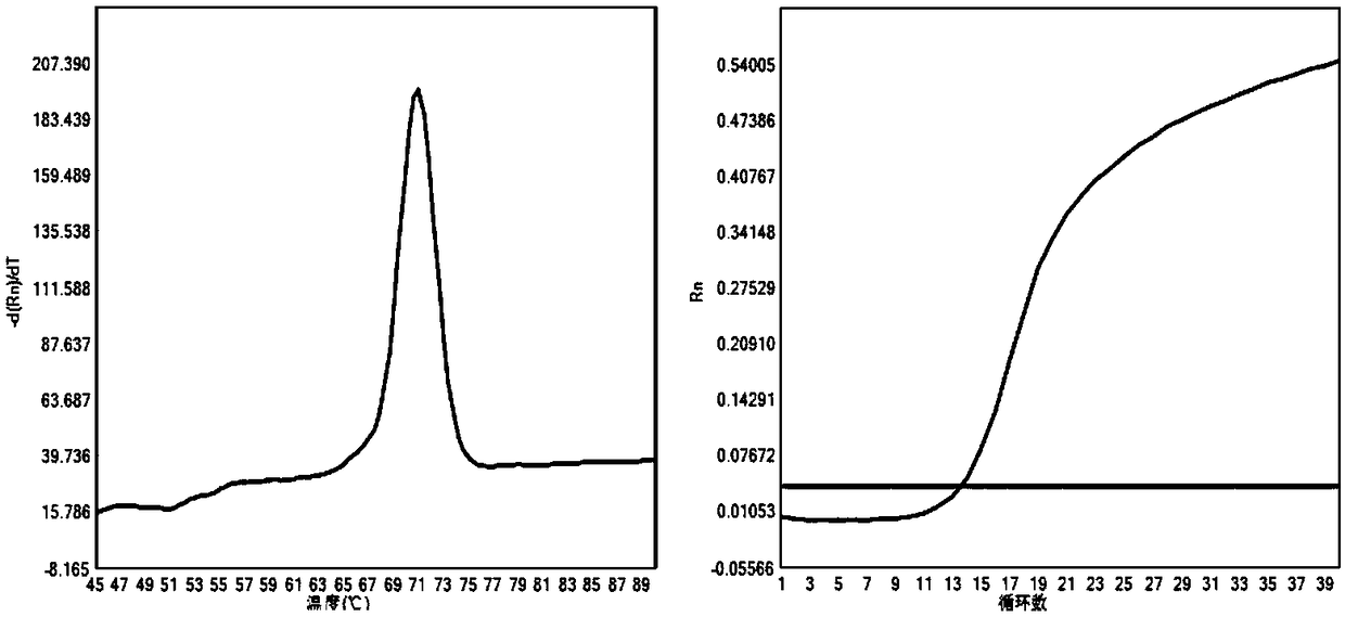 Citrin deficiency pathogenic gene detection primer and kit