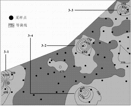 Method for implementing oil-gas exploration and oil-gas reservoir characterization by using living bacteria anomaly and total bacteria anomaly of methylosinus trichosporium as indexes