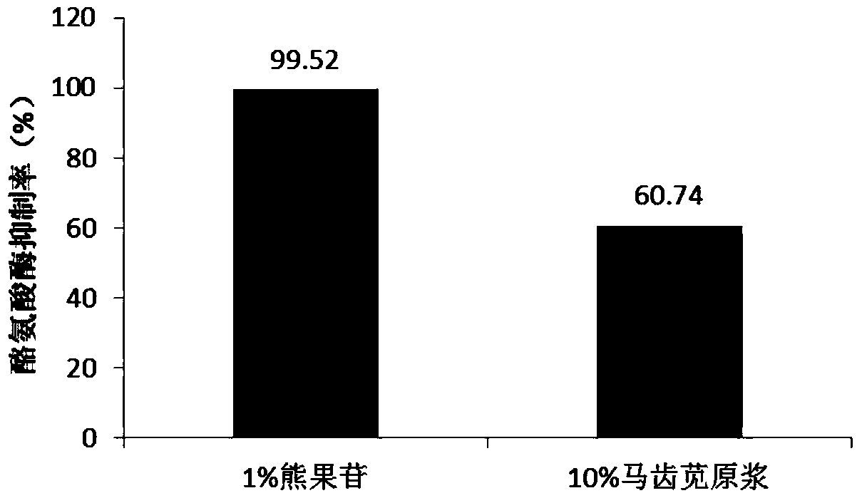 A kind of purslane fermented puree cosmetic and preparation method and application thereof