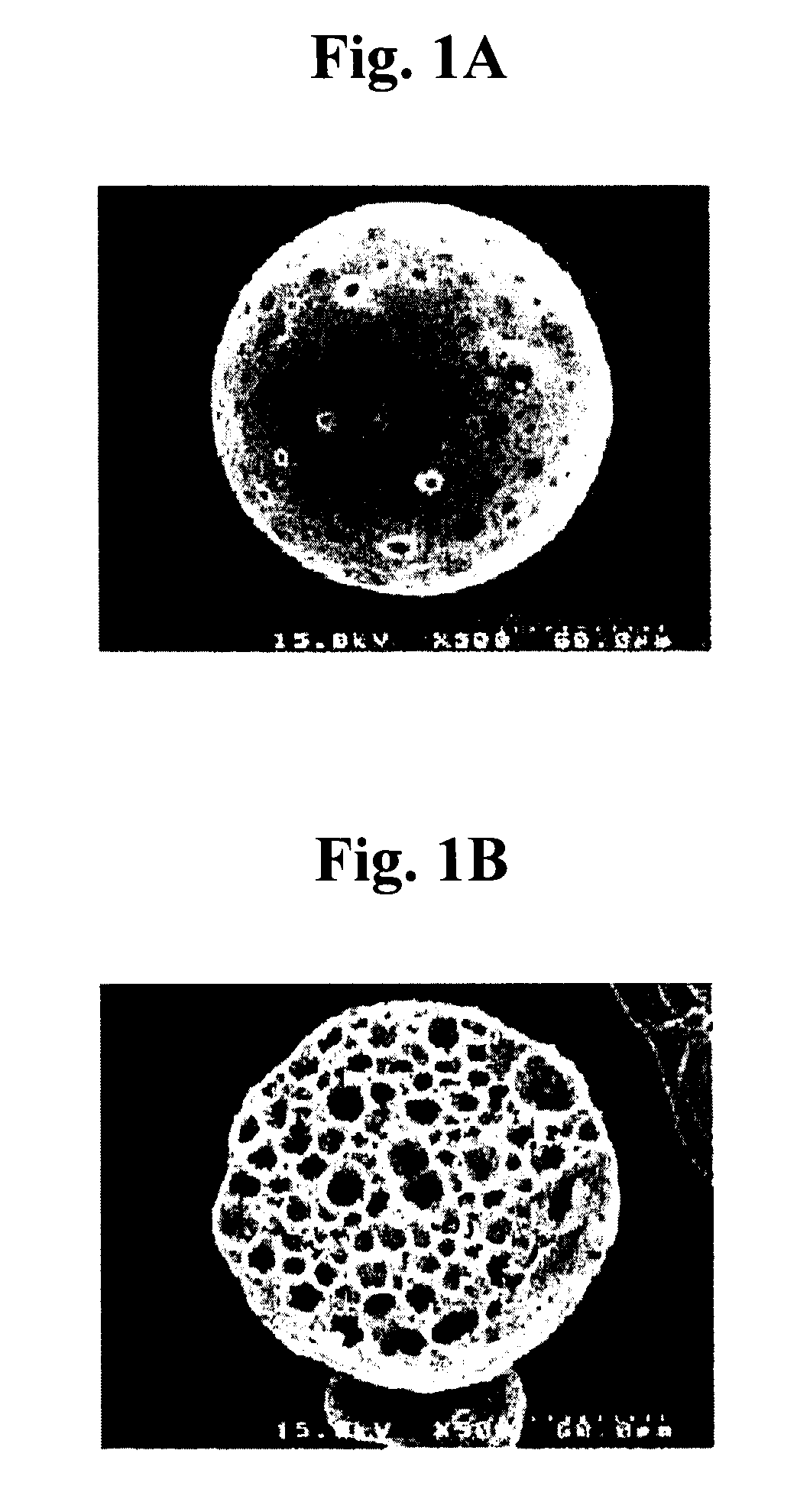 Method of preparing covered porous biodegradable polymer microspheres for sustained-release drug delivery and tissue regeneration