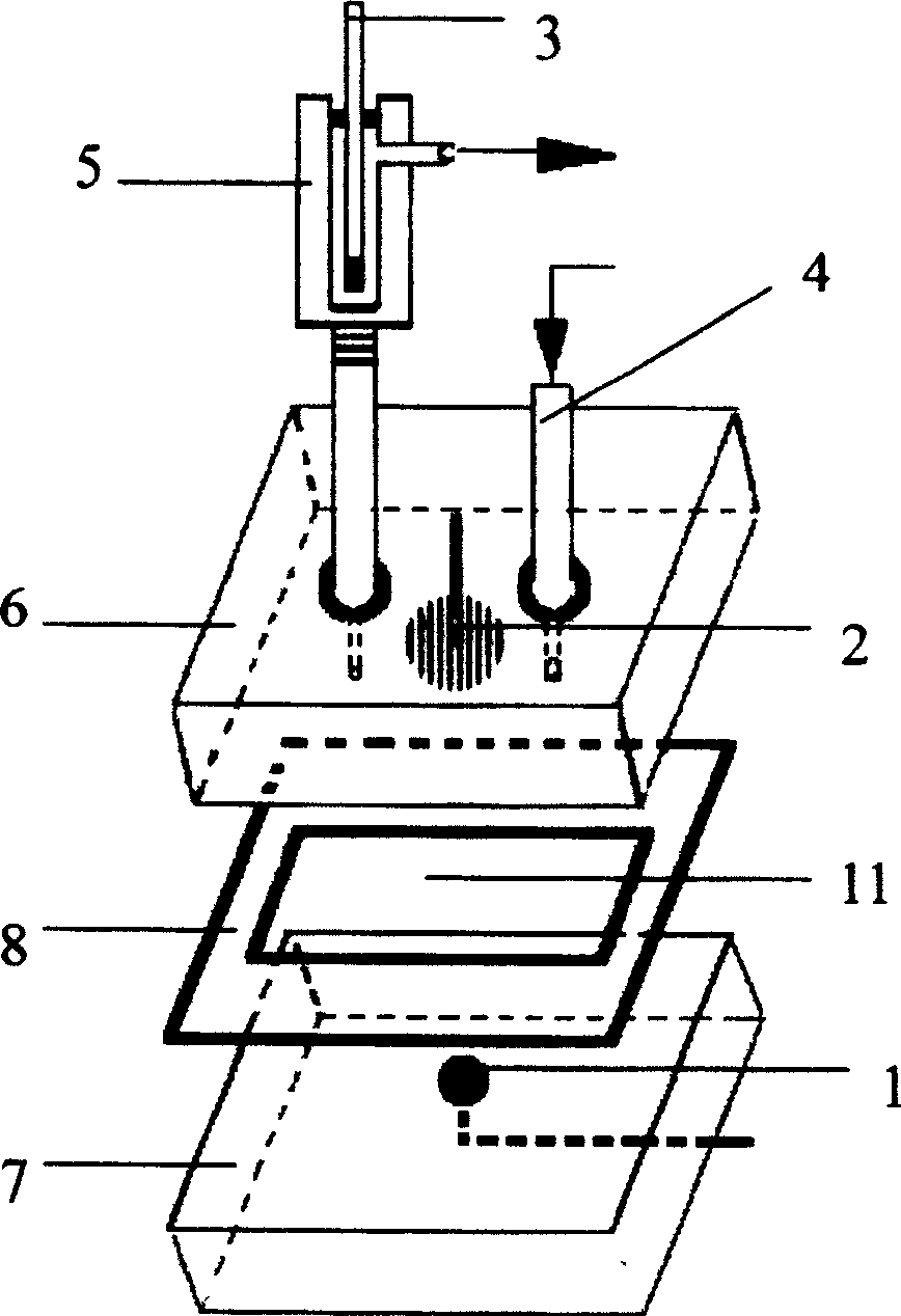 Method for measuring chemical oxygen requirement by photoelectric concerted catalysis