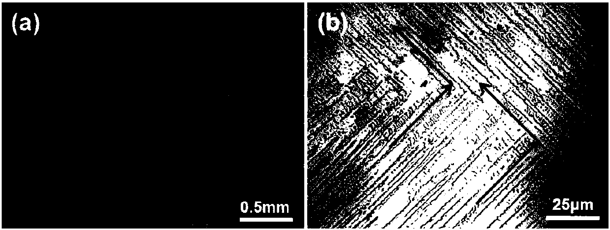 Quasi-continuous laser metal 3D printing method capable of realizing regulation of nickel base alloy crystallographic texture