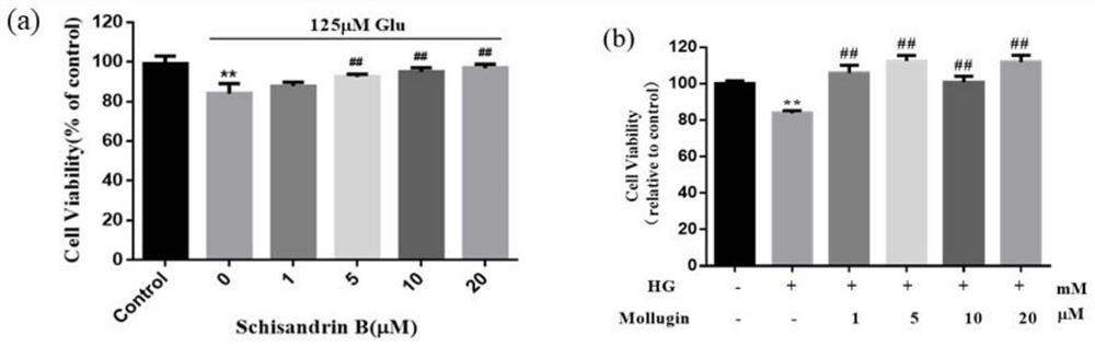 Application of GLP-1R micromolecule agonist in diabetes and related complications and medicine