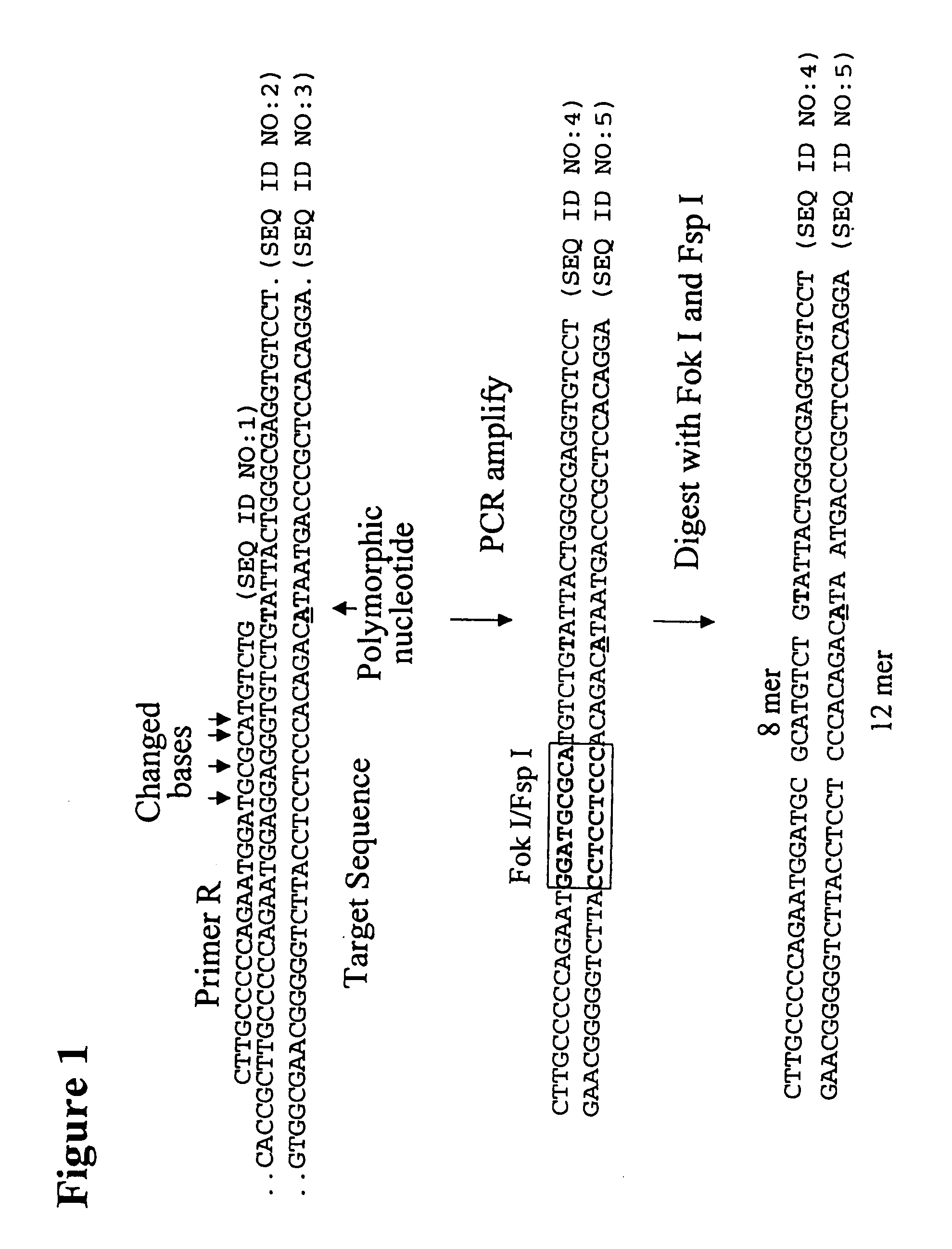 Methods for genetic analysis of DNA to detect sequence variances