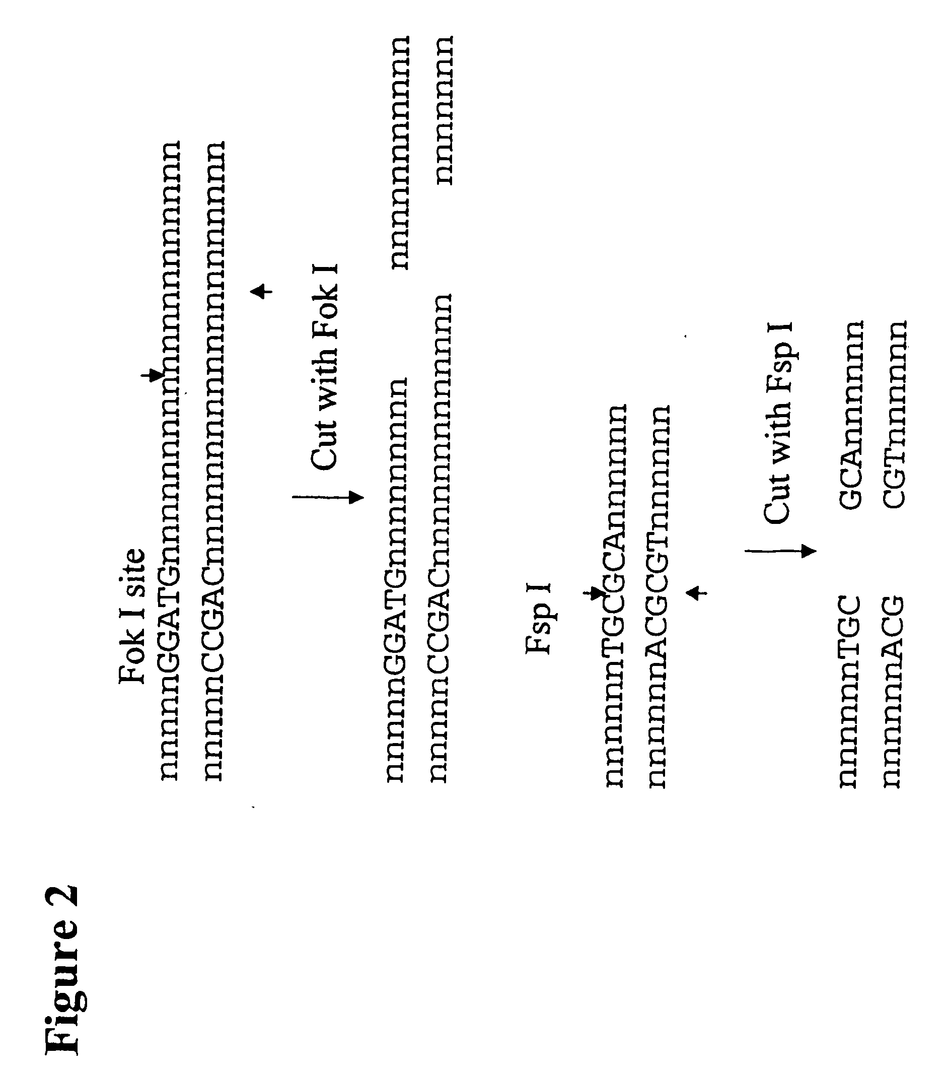 Methods for genetic analysis of DNA to detect sequence variances