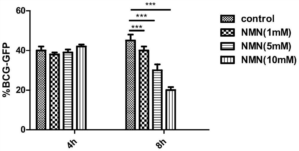 Application of compound with NMN and/or NADH structure and pharmaceutically acceptable salt of compound to preparation of mycobacterium tuberculosis inhibitor