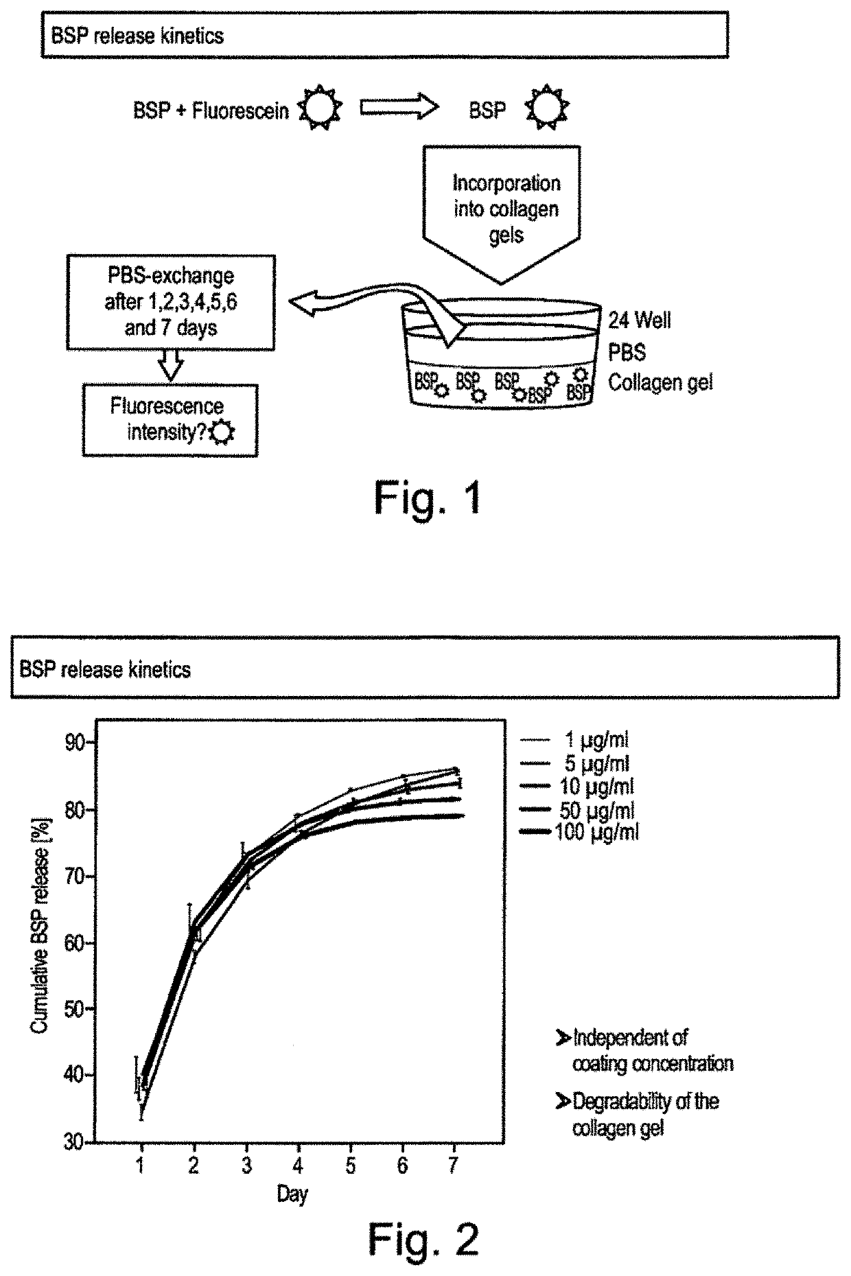 Bone sialoprotein functionalized materials for directed bone regeneration