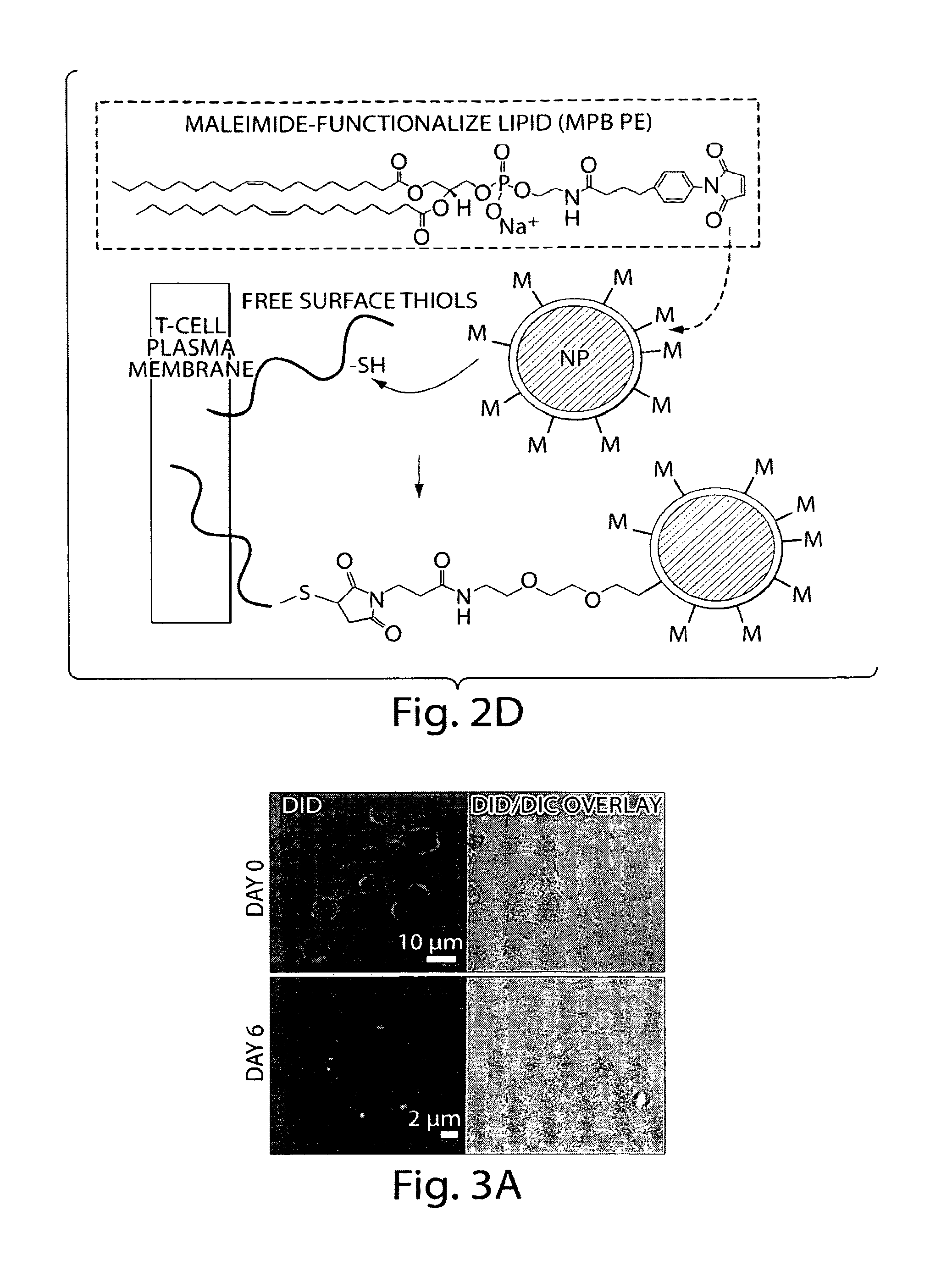 Methods and compositions for localized agent delivery