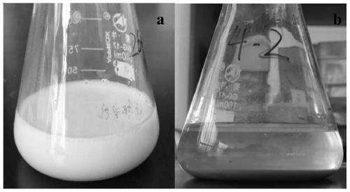 A method for quickly removing organic pollutants from coal gasification wastewater