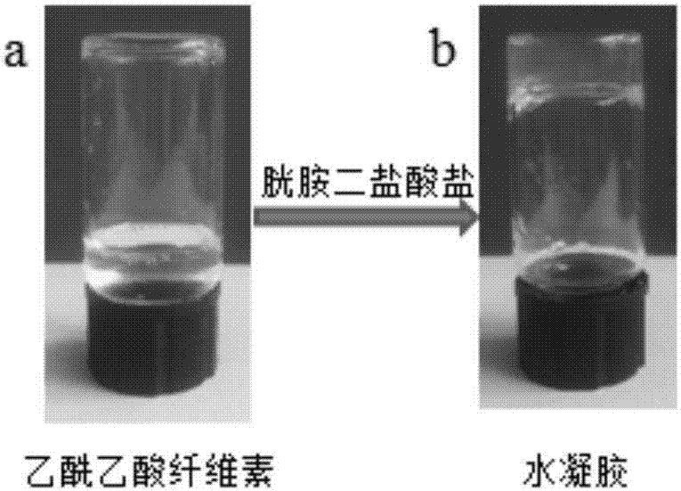 Polysaccharide hydrogel with double responses of pH and oxidation reduction as well as preparation method and application of polysaccharide hydrogel
