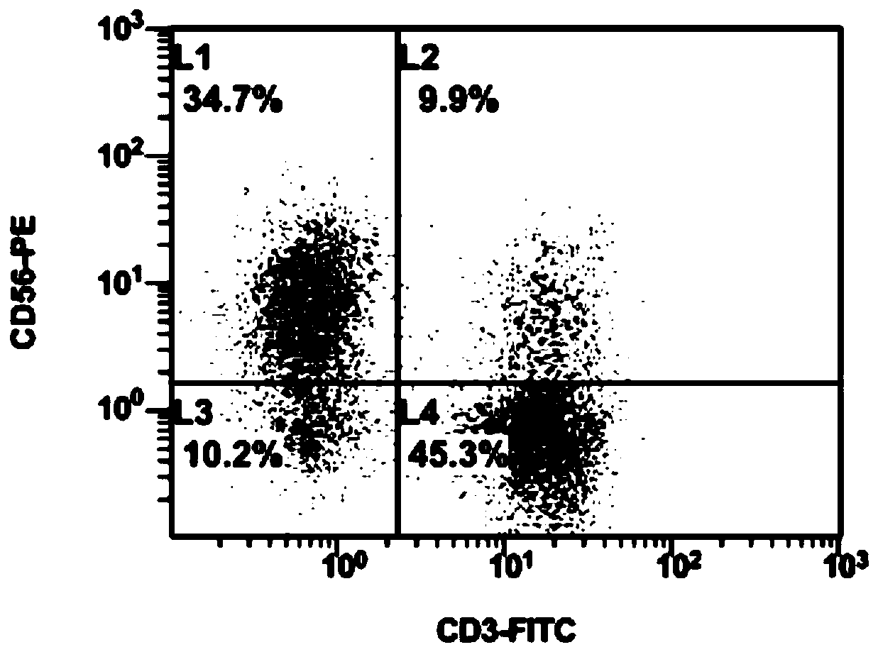 A rapid expansion method of natural killer cells