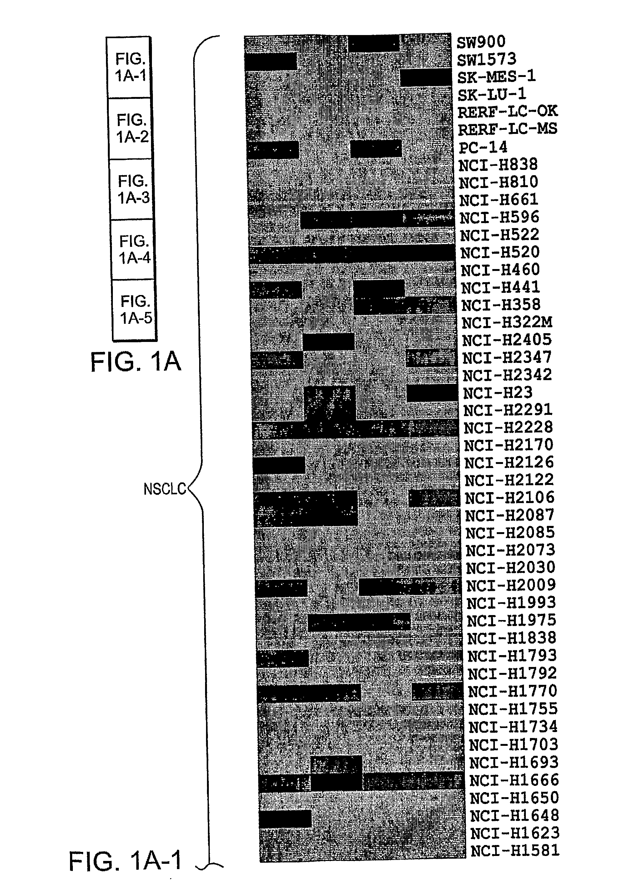 Compositions and methods for the treatment or prevention of chemoresistant neoplasia