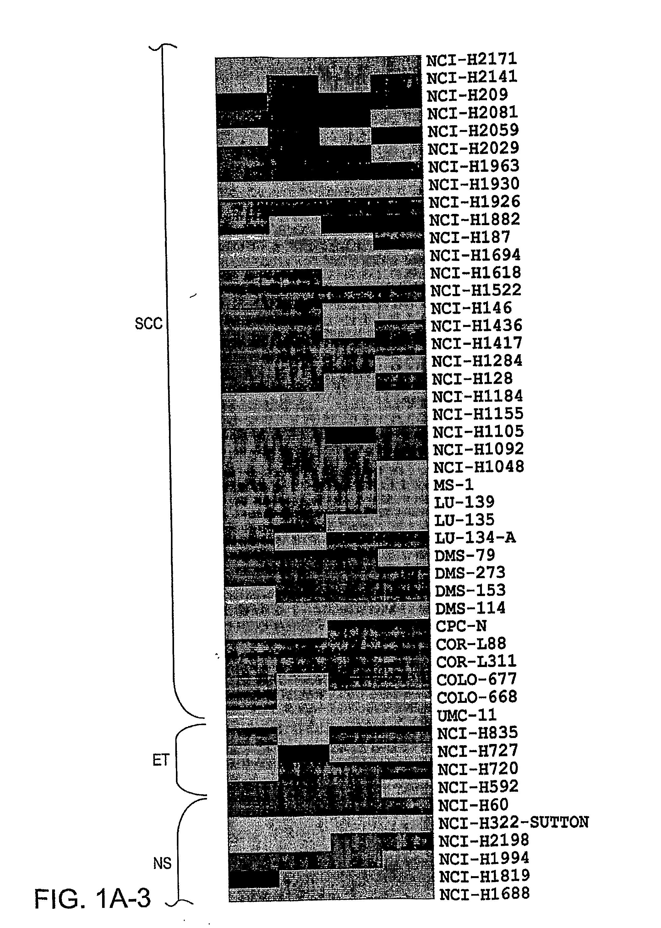 Compositions and methods for the treatment or prevention of chemoresistant neoplasia