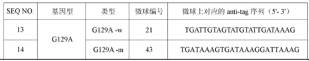 Specific primer and liquid chip for detecting polymorphism of SLC22A6 gene