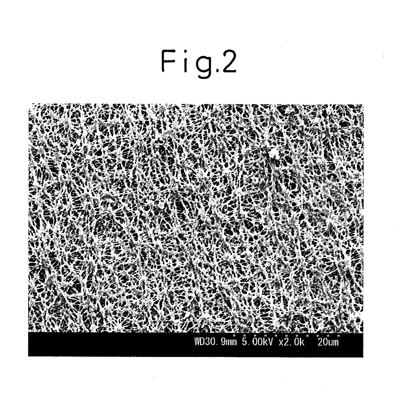 Elastic Composite Film and Composite Fabric and Production Processes Thereof
