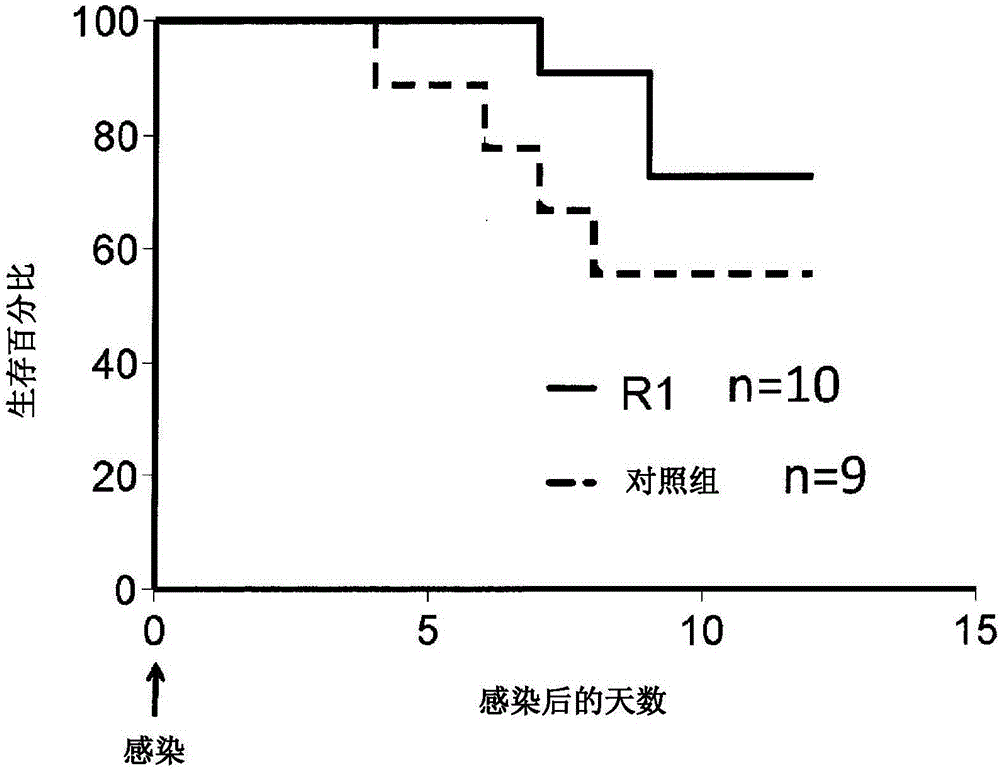 Prophylactic agent for pneumococcal infection