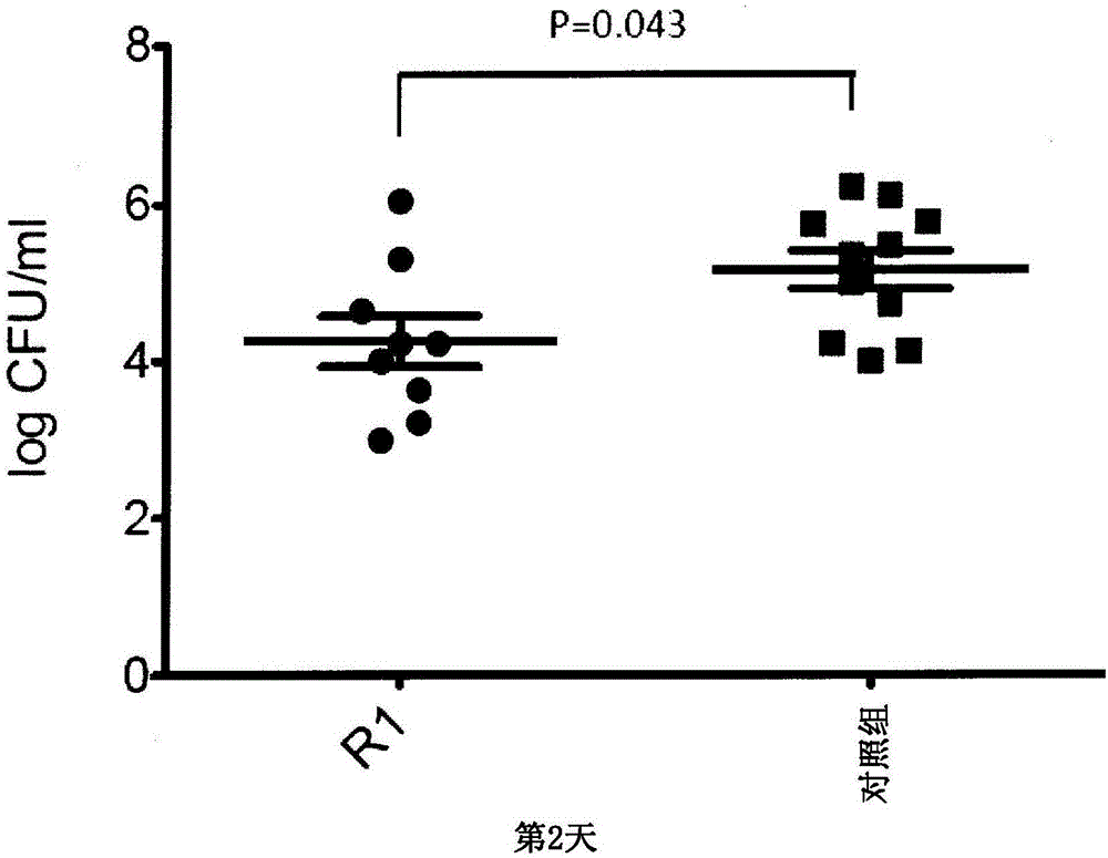 Prophylactic agent for pneumococcal infection