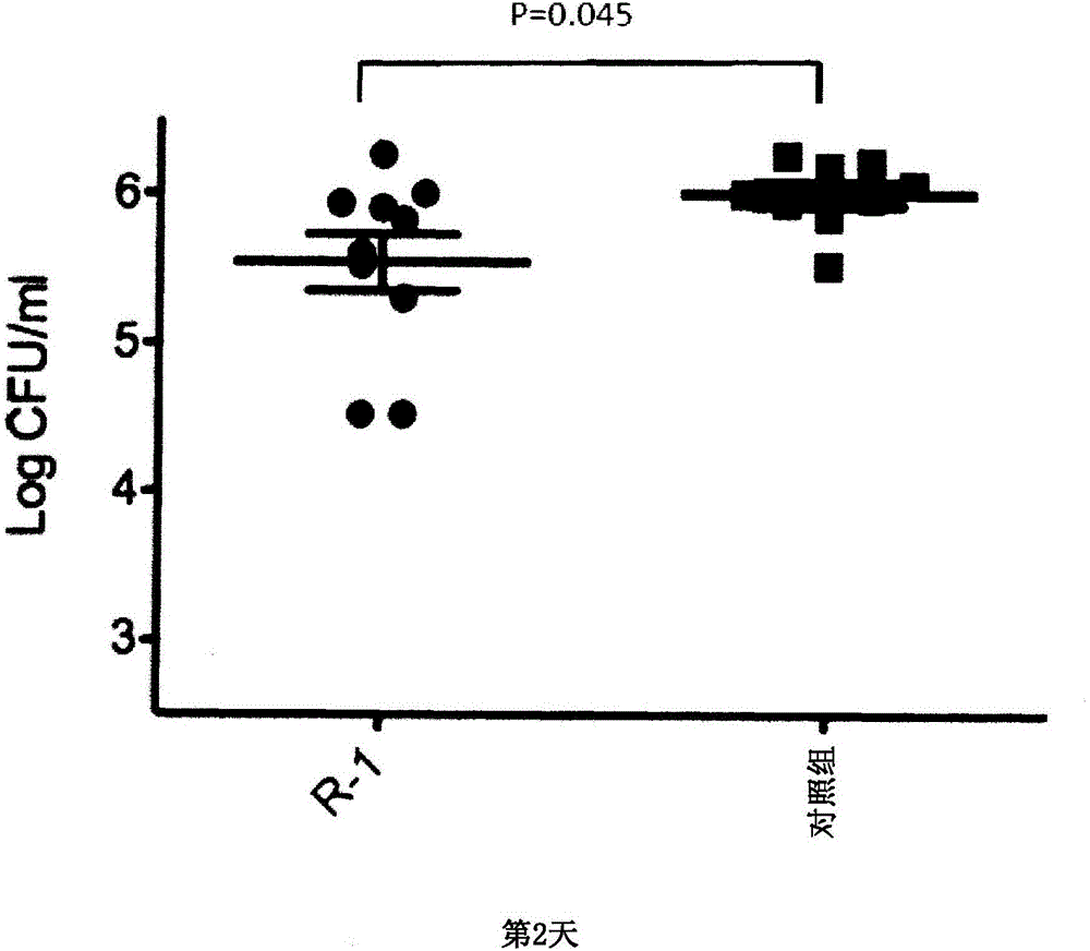 Prophylactic agent for pneumococcal infection