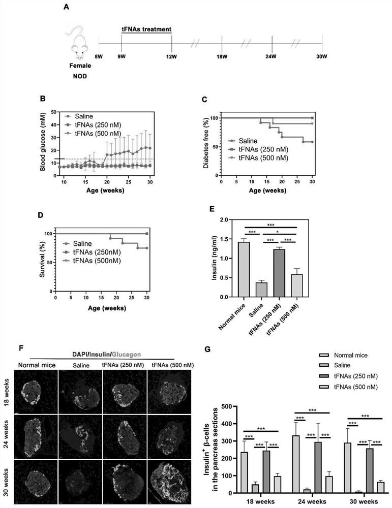 Application of dna tetrahedron in preparation of medicine for preventing and treating type 1 diabetes