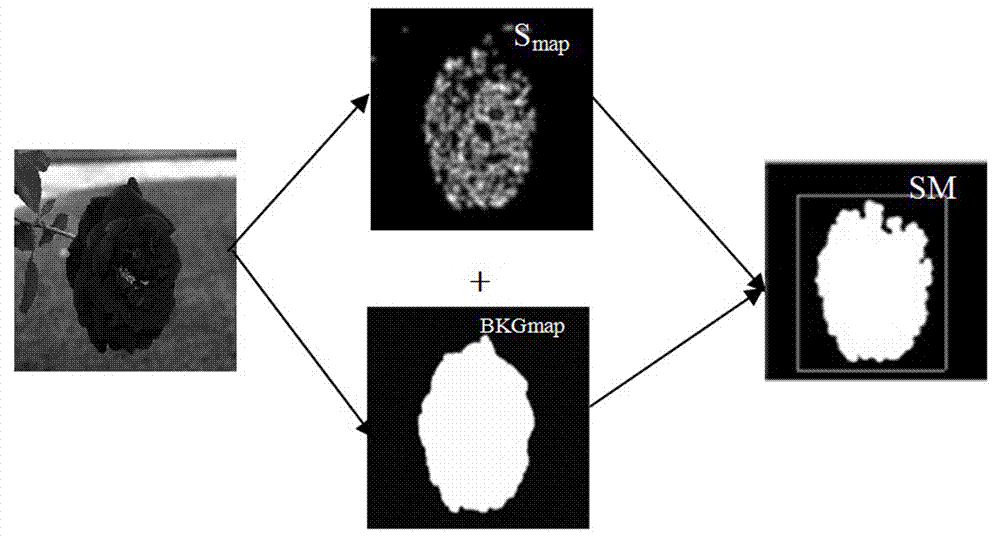 An Automatic Extraction Method of Salient Objects in Color Image