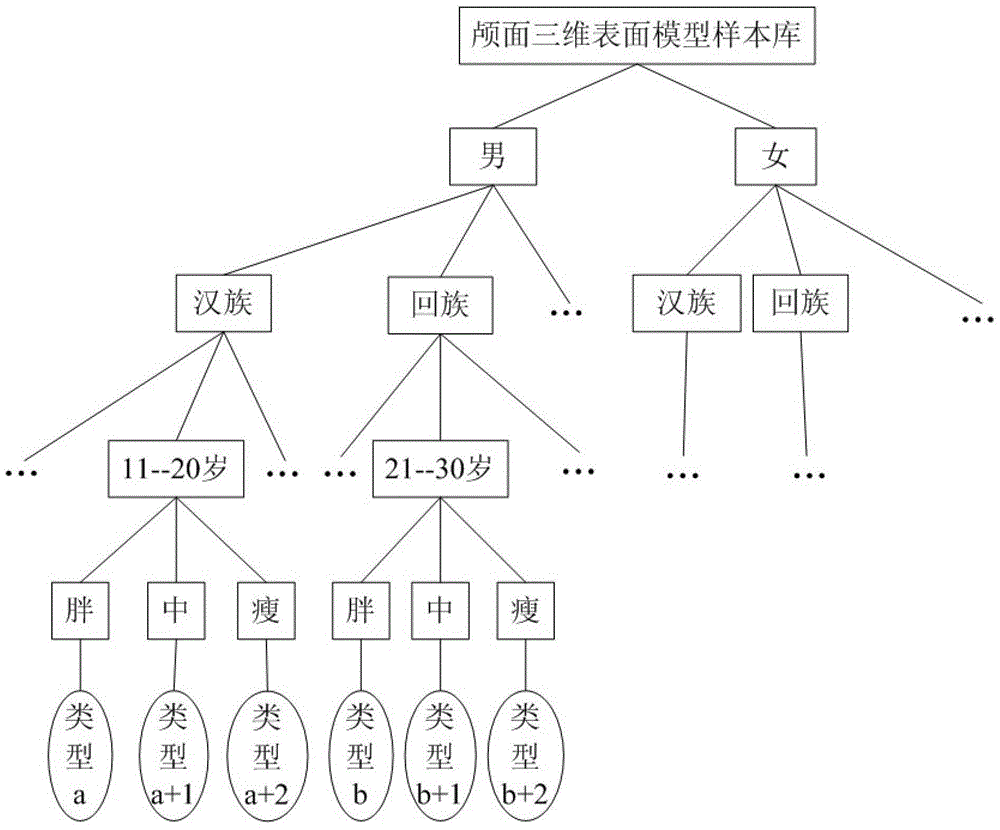 Model library for craniofacial restoration and craniofacial restoration method