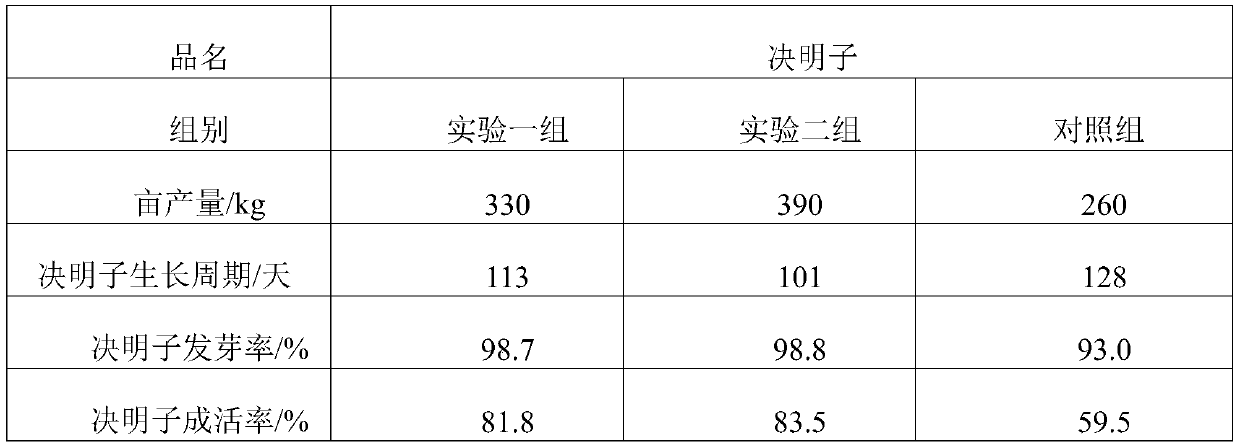 Cassia seed planting method