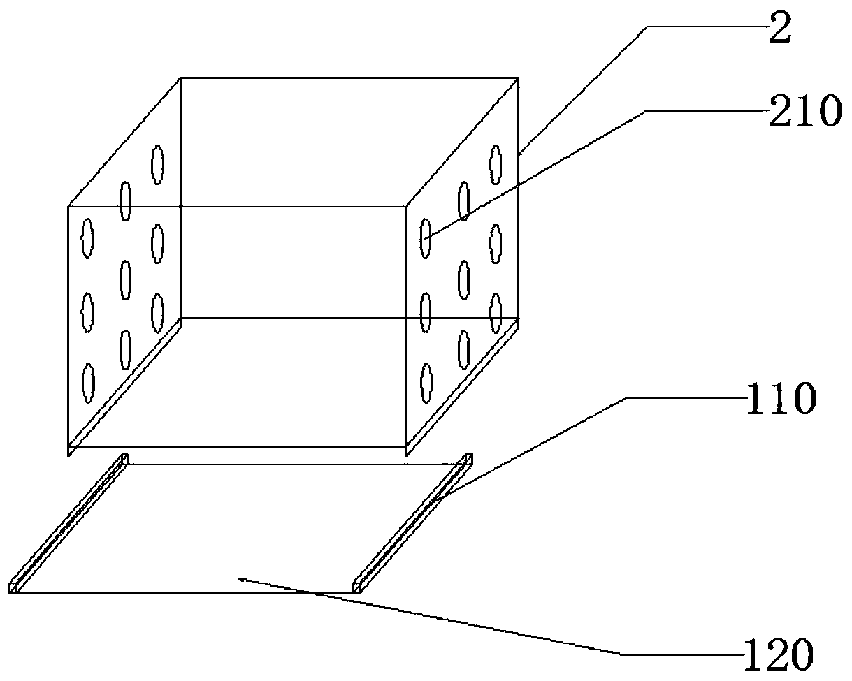 Cassia seed planting method