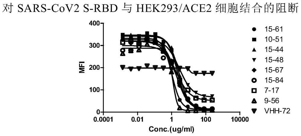 Nano antibody for novel coronavirus and application of nano antibody