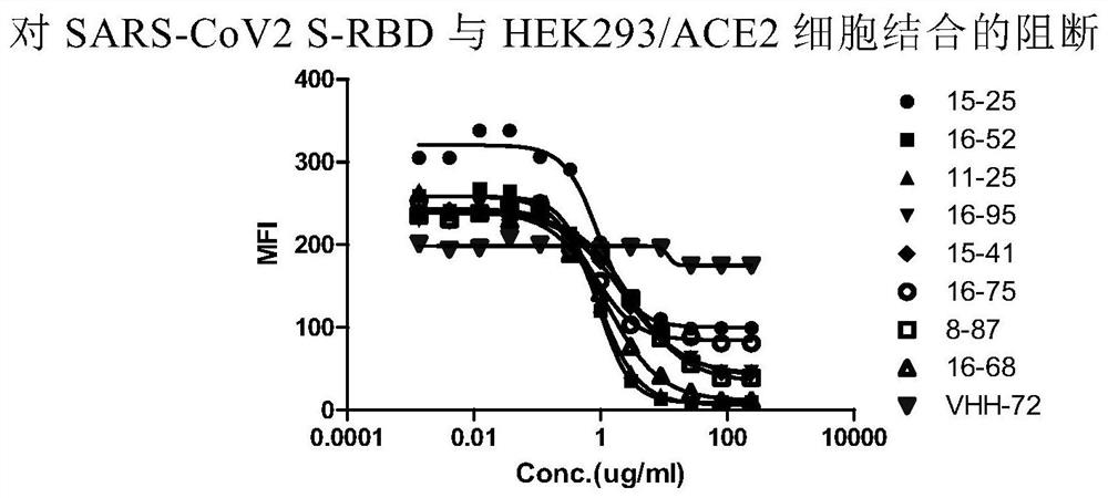 Nano antibody for novel coronavirus and application of nano antibody