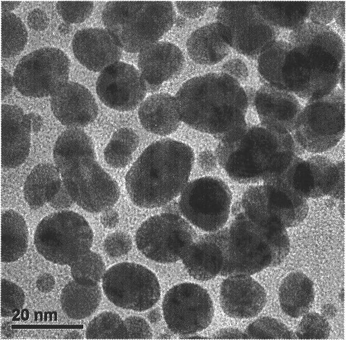 Method for preparing flower-like nanometer gold