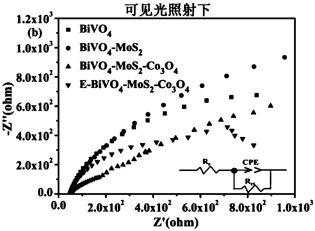 Electrochemically modified bismuth vanadate-molybdenum sulfide-cobaltosic oxide catalytic electrode, as well as preparation method and application thereof