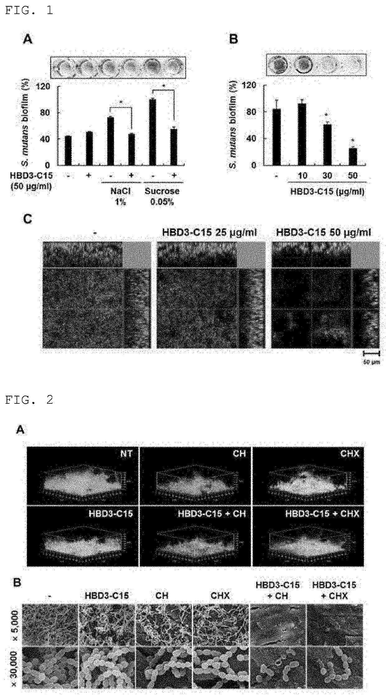 Peptide for inhibiting biofilms