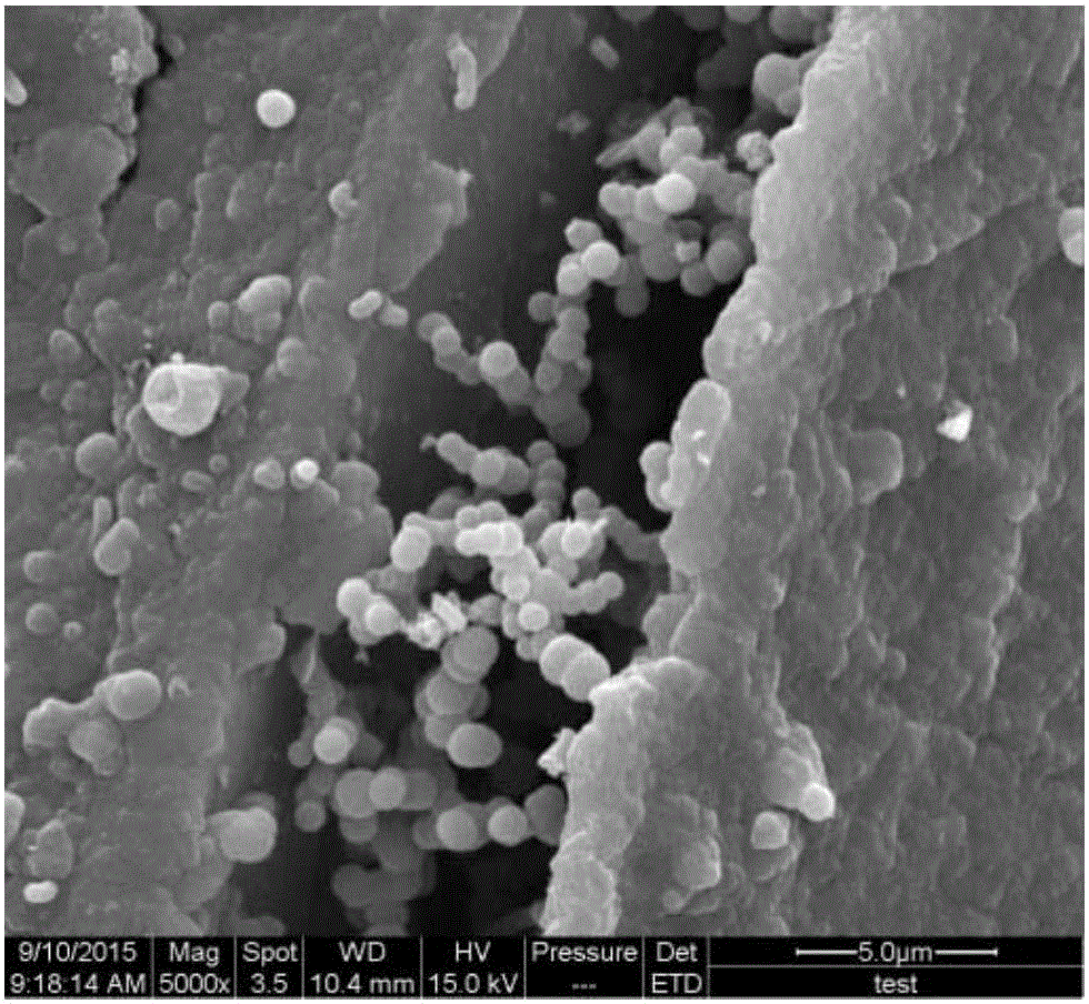 Preparation method of ceramic material capable of generating carbon nanowires in situ