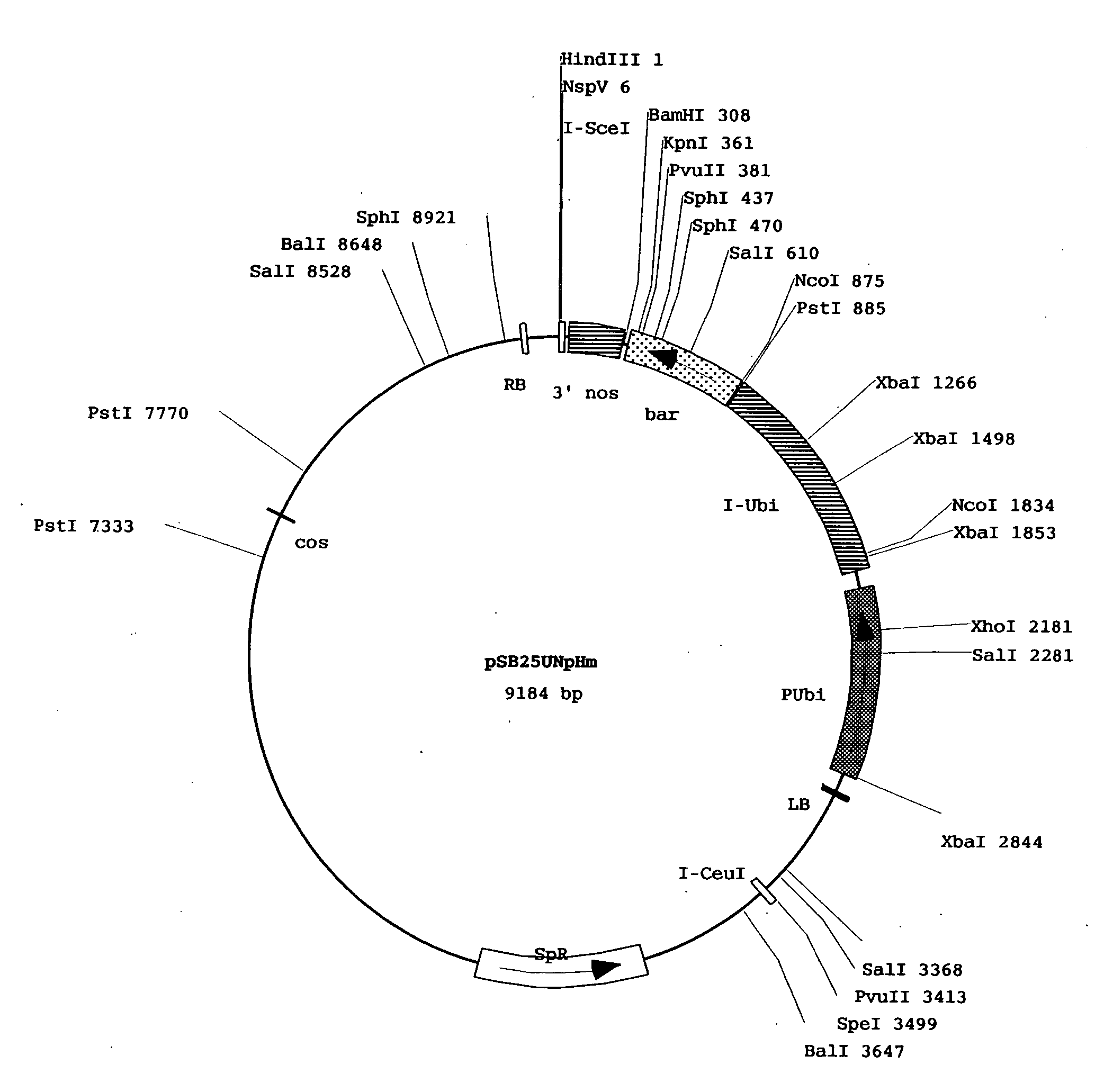 Method for Screening Genomic Dna Fragments