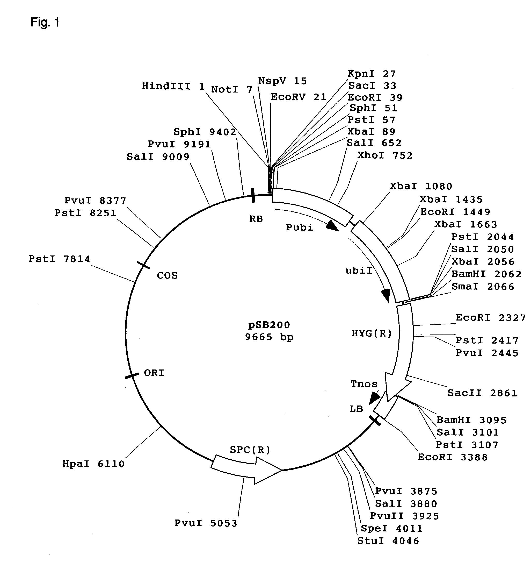 Method for Screening Genomic Dna Fragments