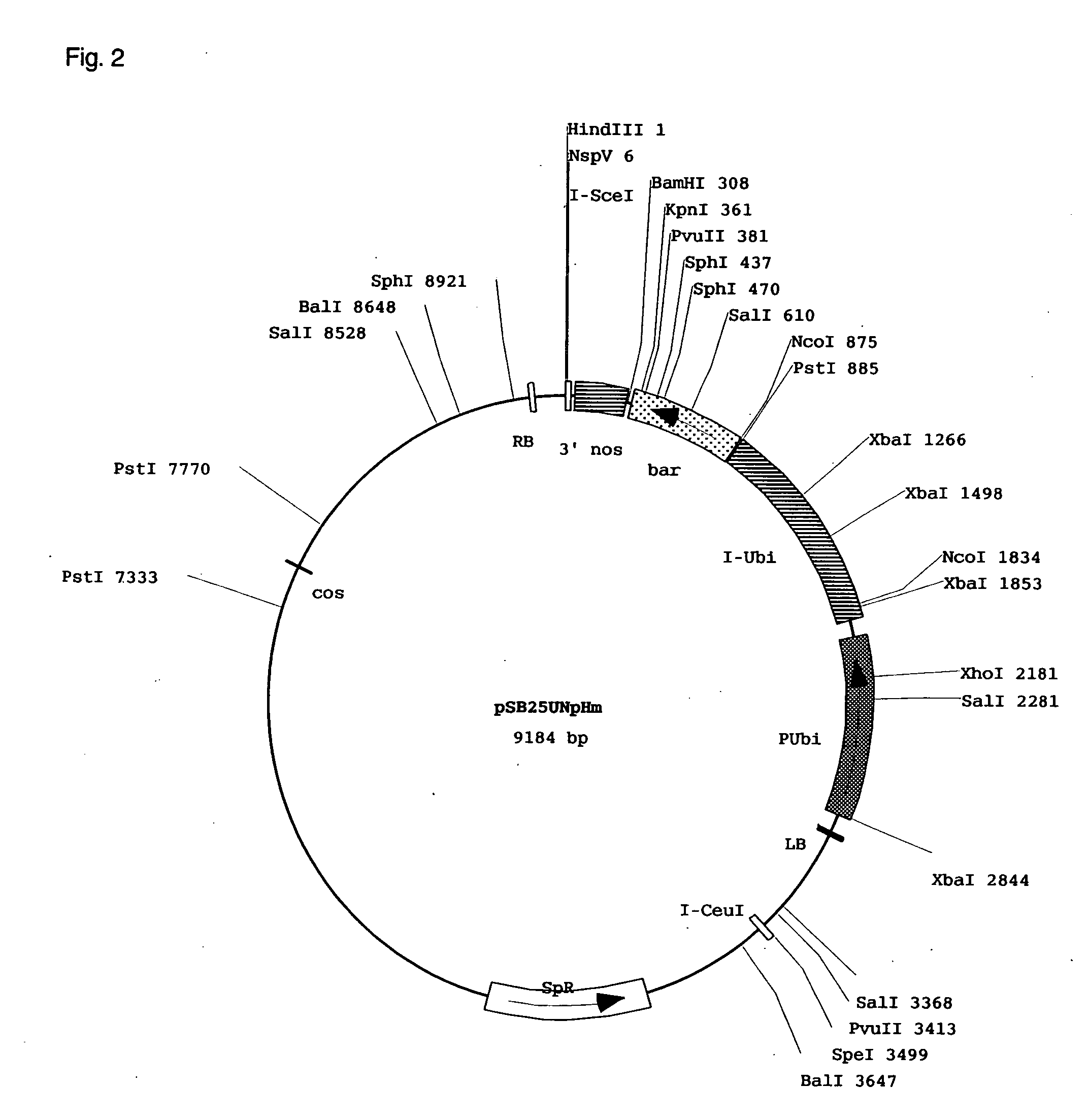 Method for Screening Genomic Dna Fragments