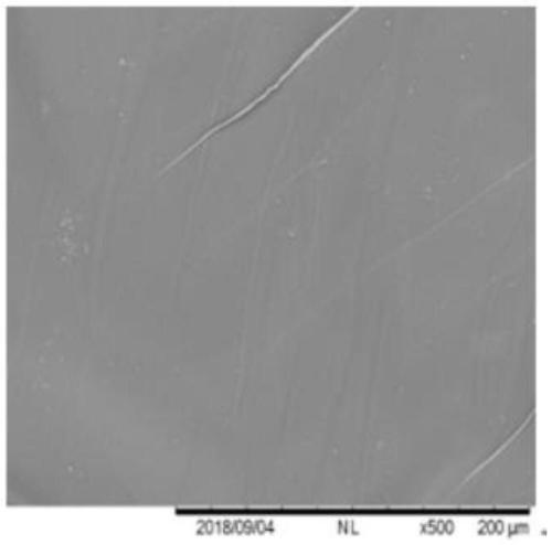 Method for preparing calcium lactate through immobilized fermentation of eggshell powder