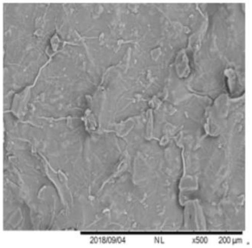 Method for preparing calcium lactate through immobilized fermentation of eggshell powder