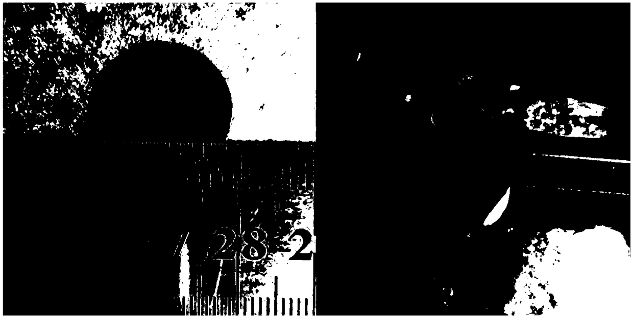 A functional separator for lithium sulfide battery and a preparation method thereof