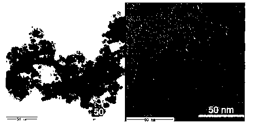 Industrial microwave rapid synthesis method of ultra-large specific surface area nano cerium dioxide