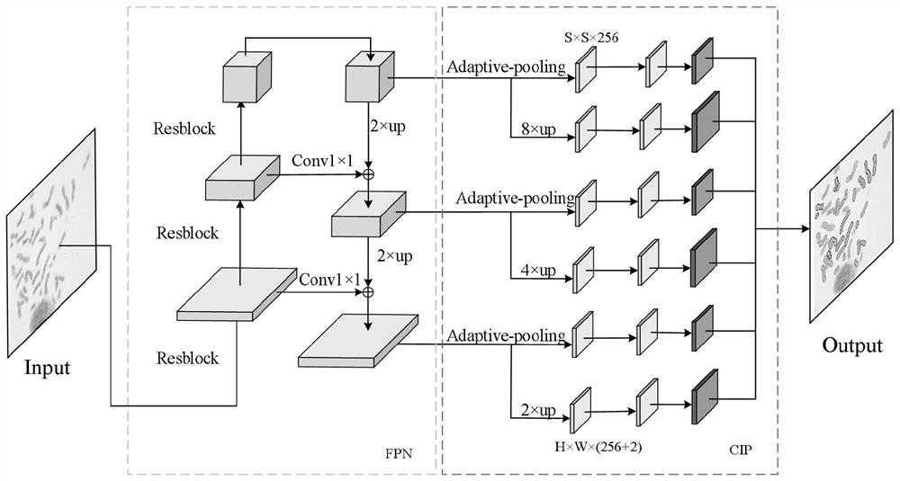 An Instance Segmentation Method of Crossed Chromosome Image Based on Chromosome Trisection Feature Point Location