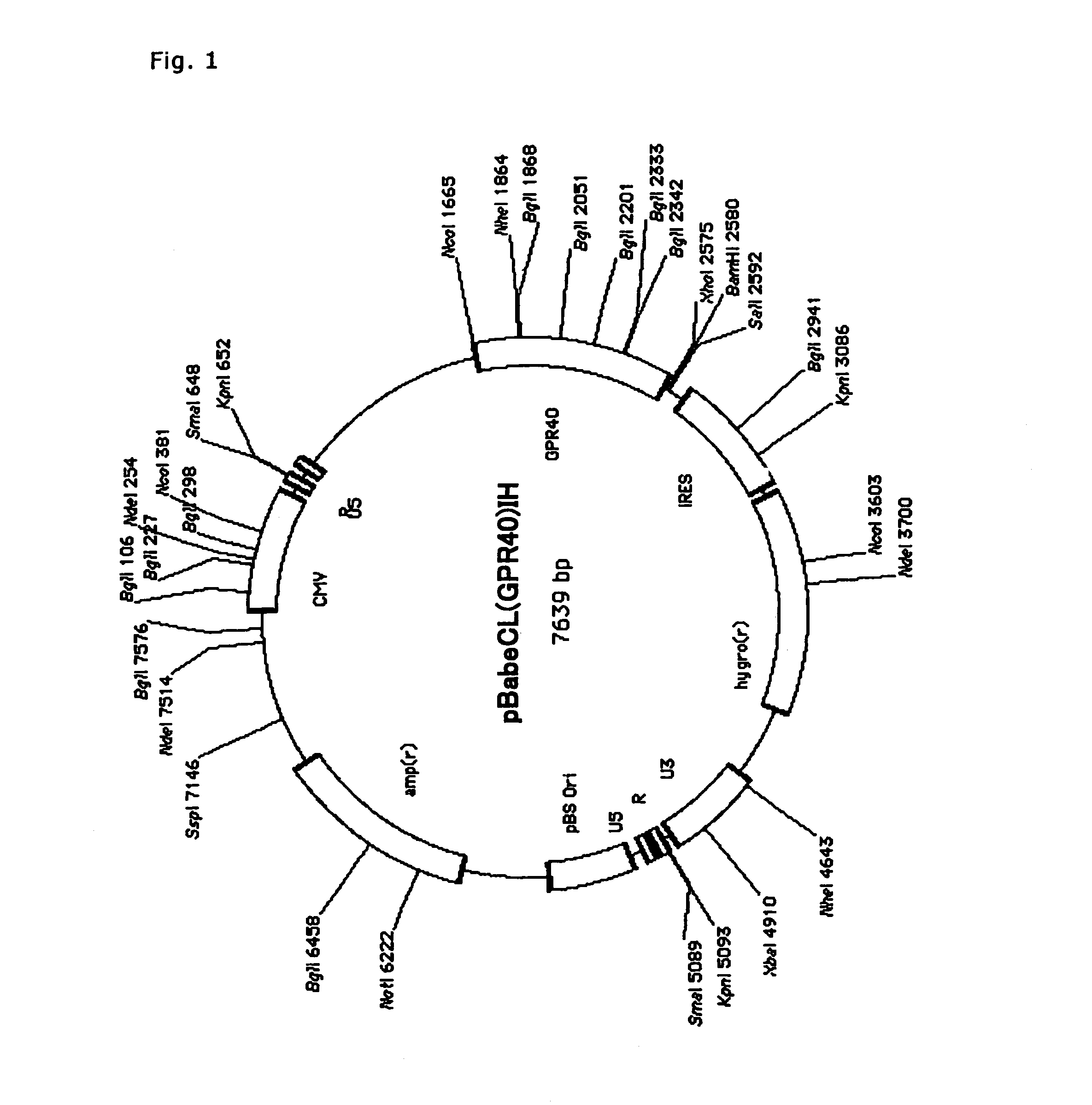 Method of screening substance useful in treating disease with the use of GPR40 and phospholipase