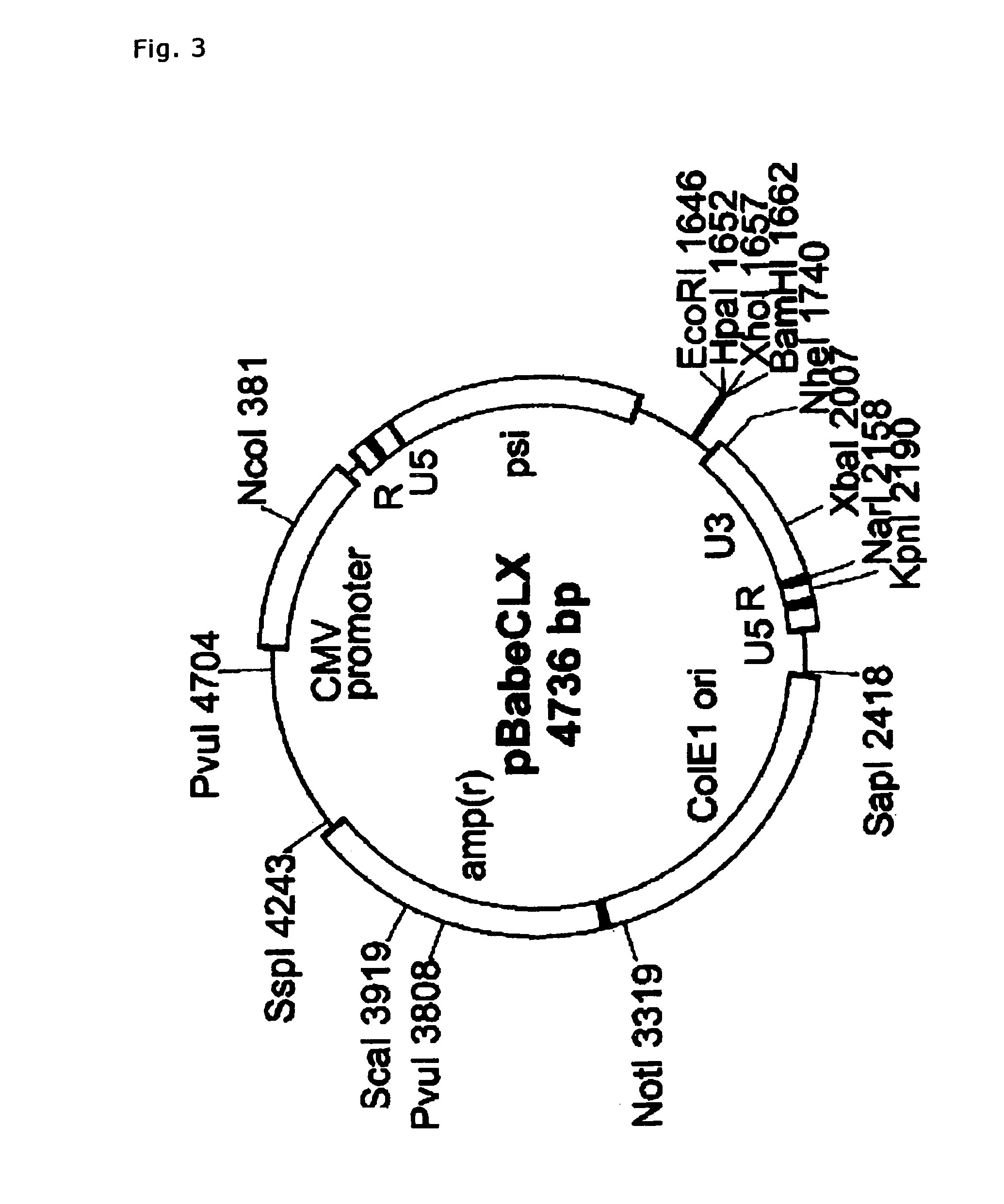 Method of screening substance useful in treating disease with the use of GPR40 and phospholipase