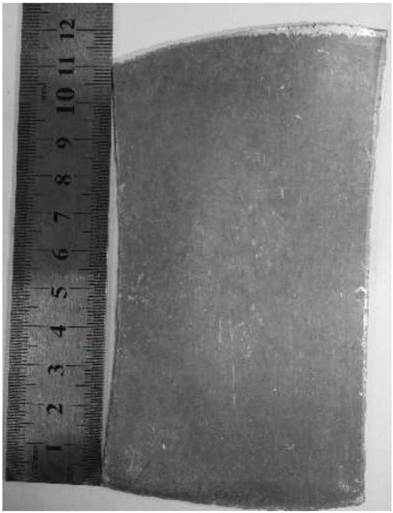 Magnesium metal plate capable of being quickly rolled and formed and rolling method of magnesium metal plate