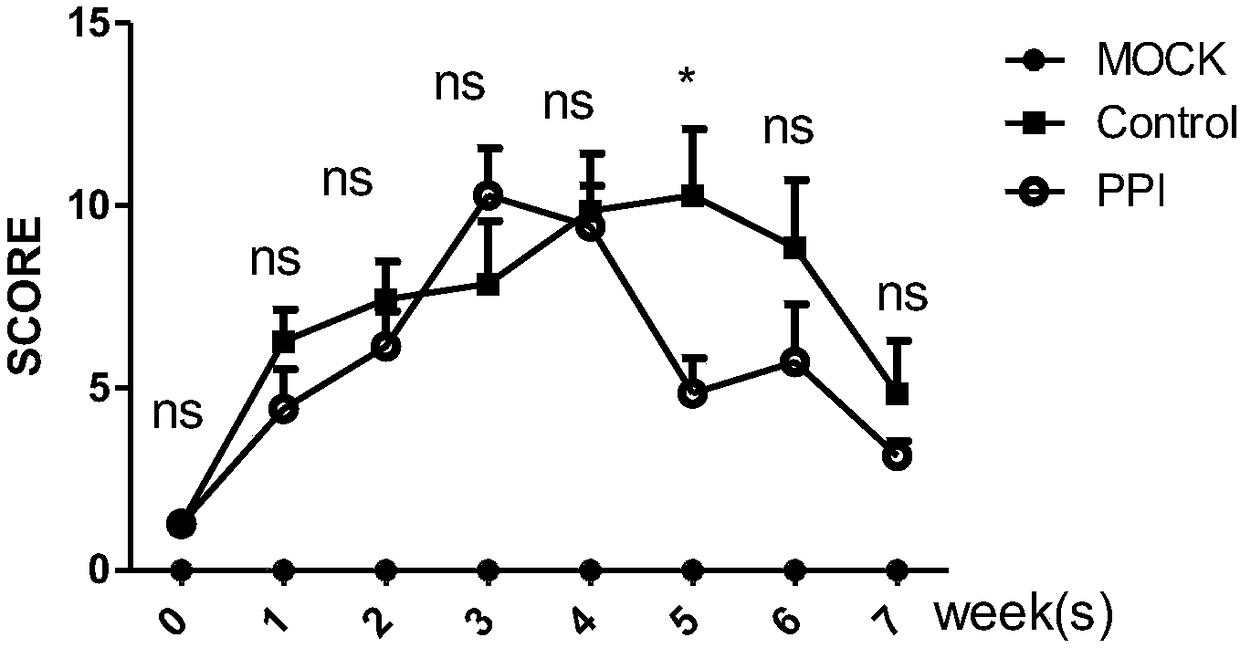 Small molecule compound for treating rheumatoid arthritis and application of small molecule compound